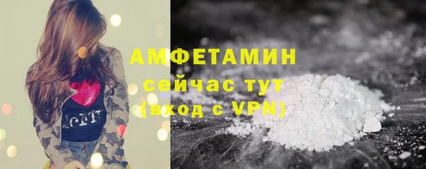 прущие грибы Заводоуковск