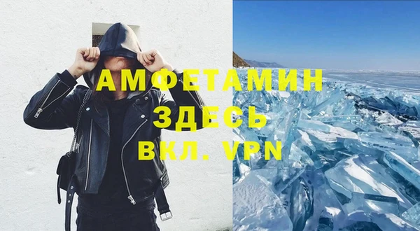 прущие грибы Заводоуковск
