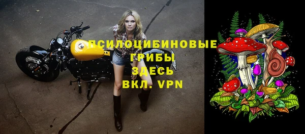 прущие грибы Заводоуковск