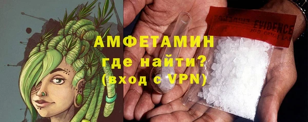 прущие грибы Заводоуковск