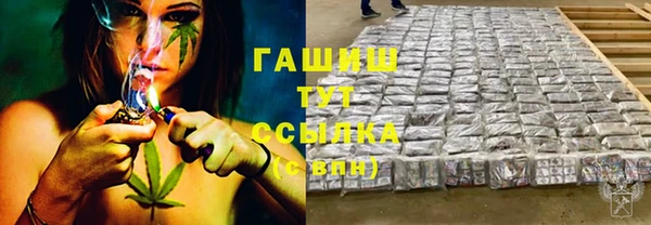 прущие грибы Заводоуковск