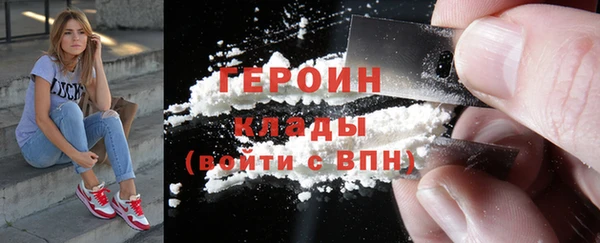 прущие грибы Заводоуковск