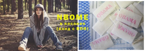 прущие грибы Заводоуковск