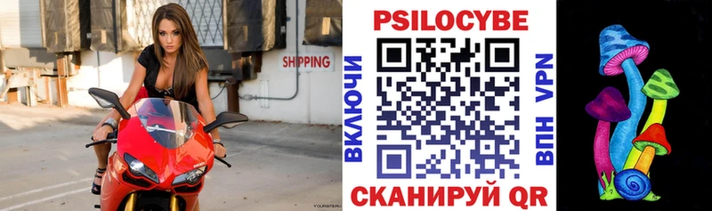 Купить  Карабулак  Псилоцибиновые грибы Psilocybine cubensis 