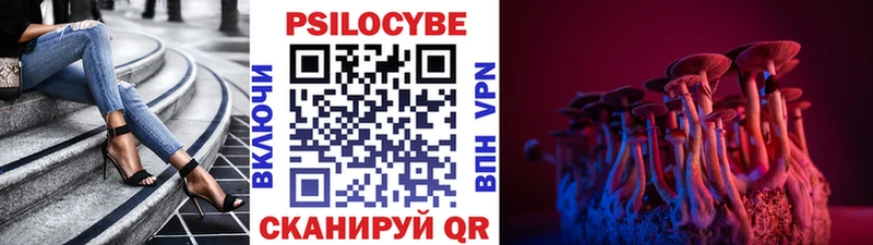 Псилоцибиновые грибы Psilocybe Карабулак